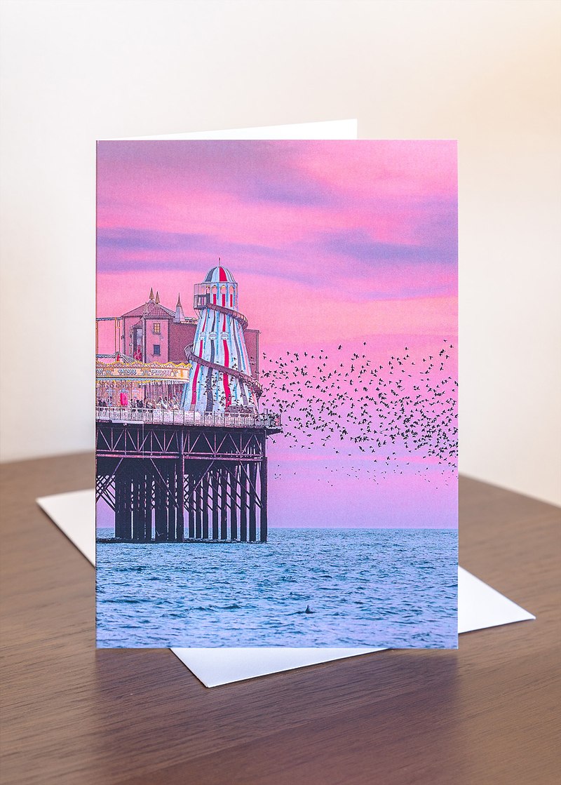Brighton Starling Murmuration Greeting Cards (6 pack)