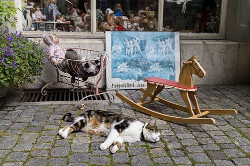 In der Altstadt von Biel