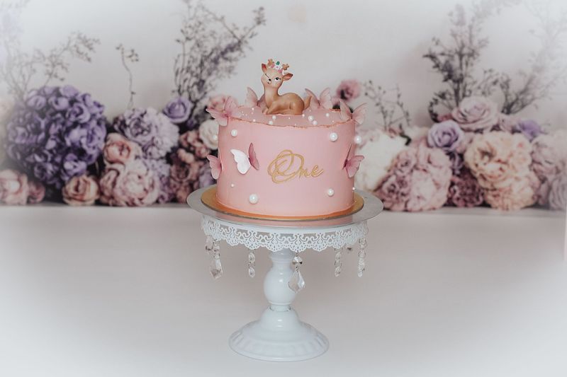 Cake-Smash-Shooting