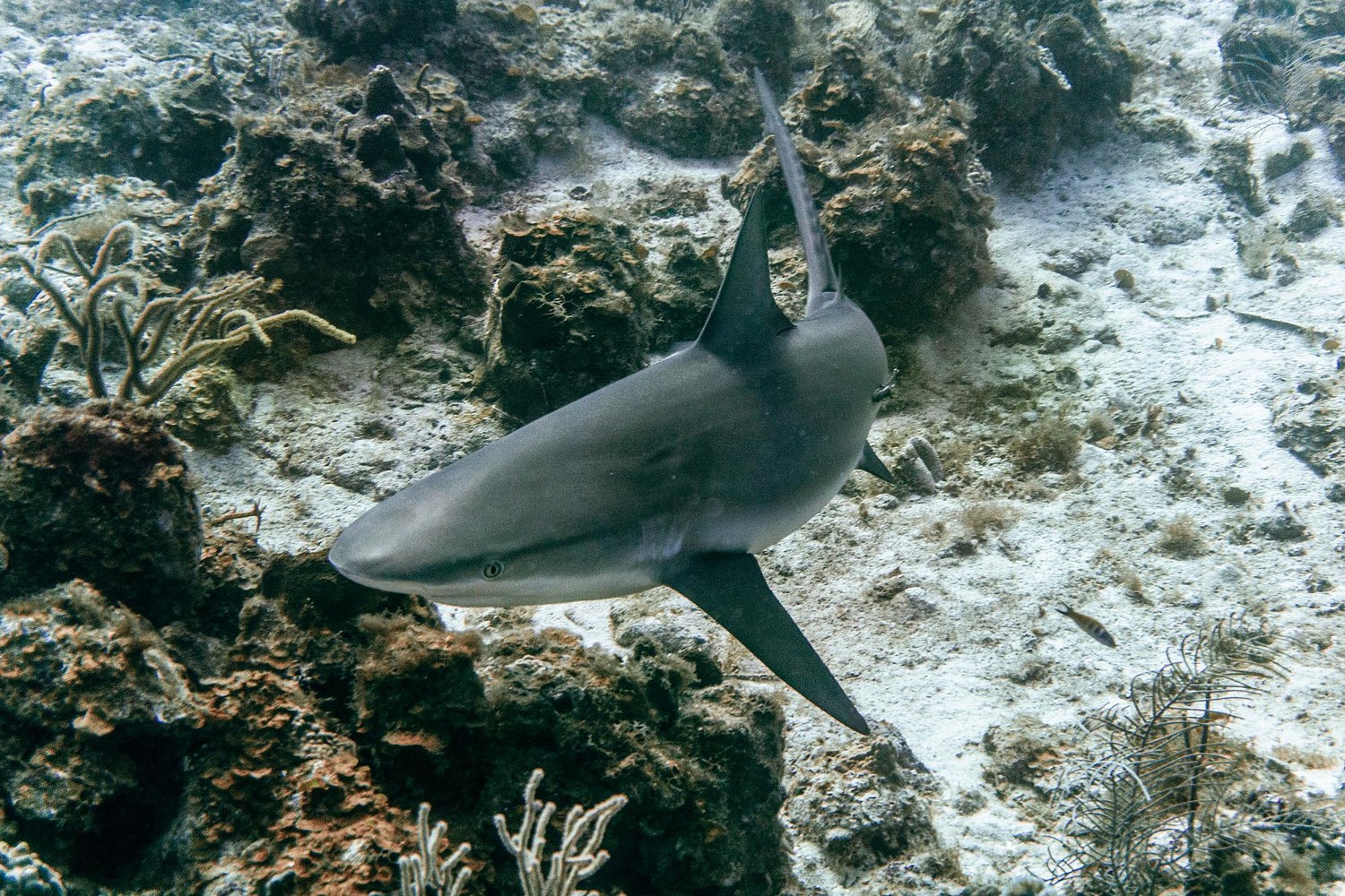 USVI.Photos