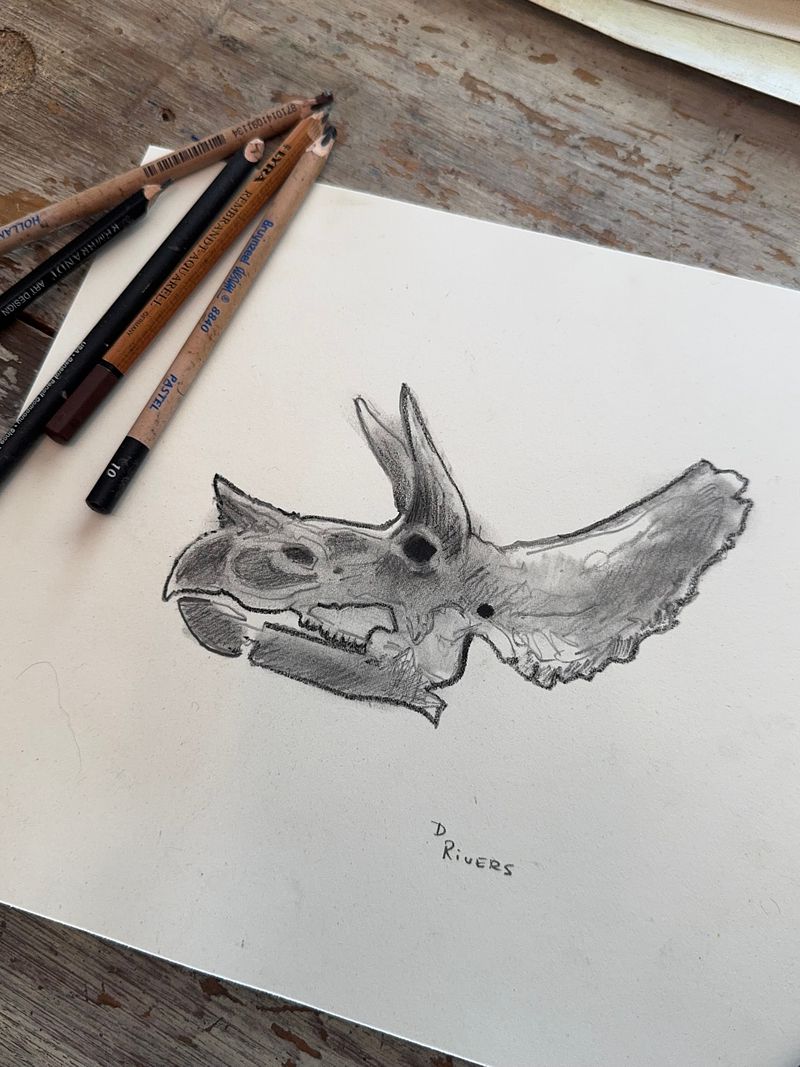 Triceratops