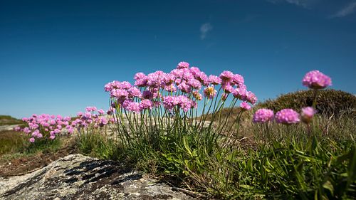 Verdens Ende