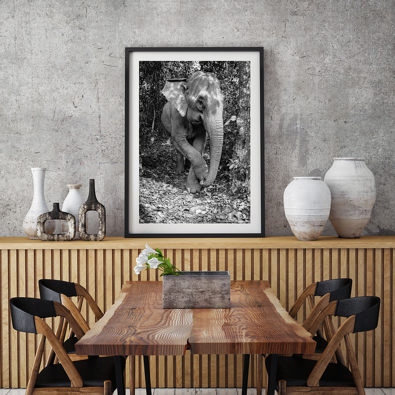 COLLECTION - GIANTS OF THE LAND VERTICAL - "Asian Elephant" - LIMITED EDITION 5 of 5