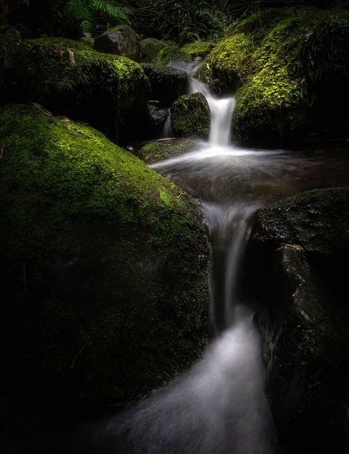 Waterfall, stream, river, creek, flowing water, long exposure, nature, landscape, travel, hiking, adventure, escape, light, rocks, moss, ferns, forest, Nicols, Dunedin, New Zealand, South Island, Otago