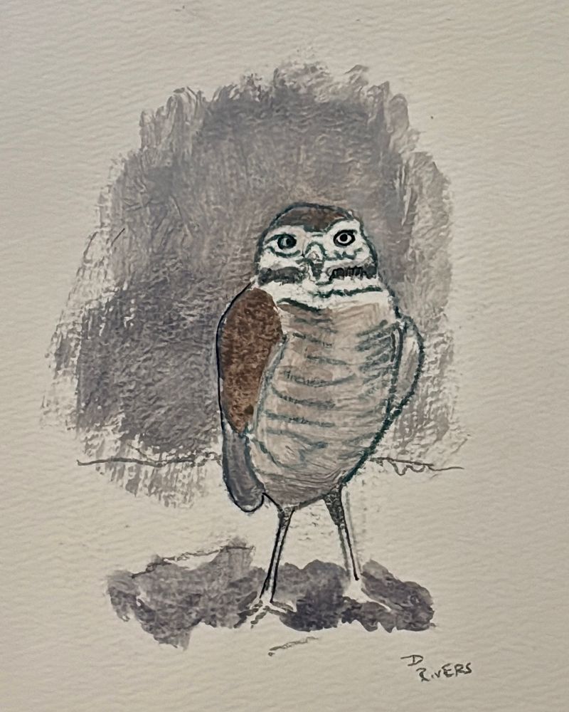 Perched-Burrowing Owl