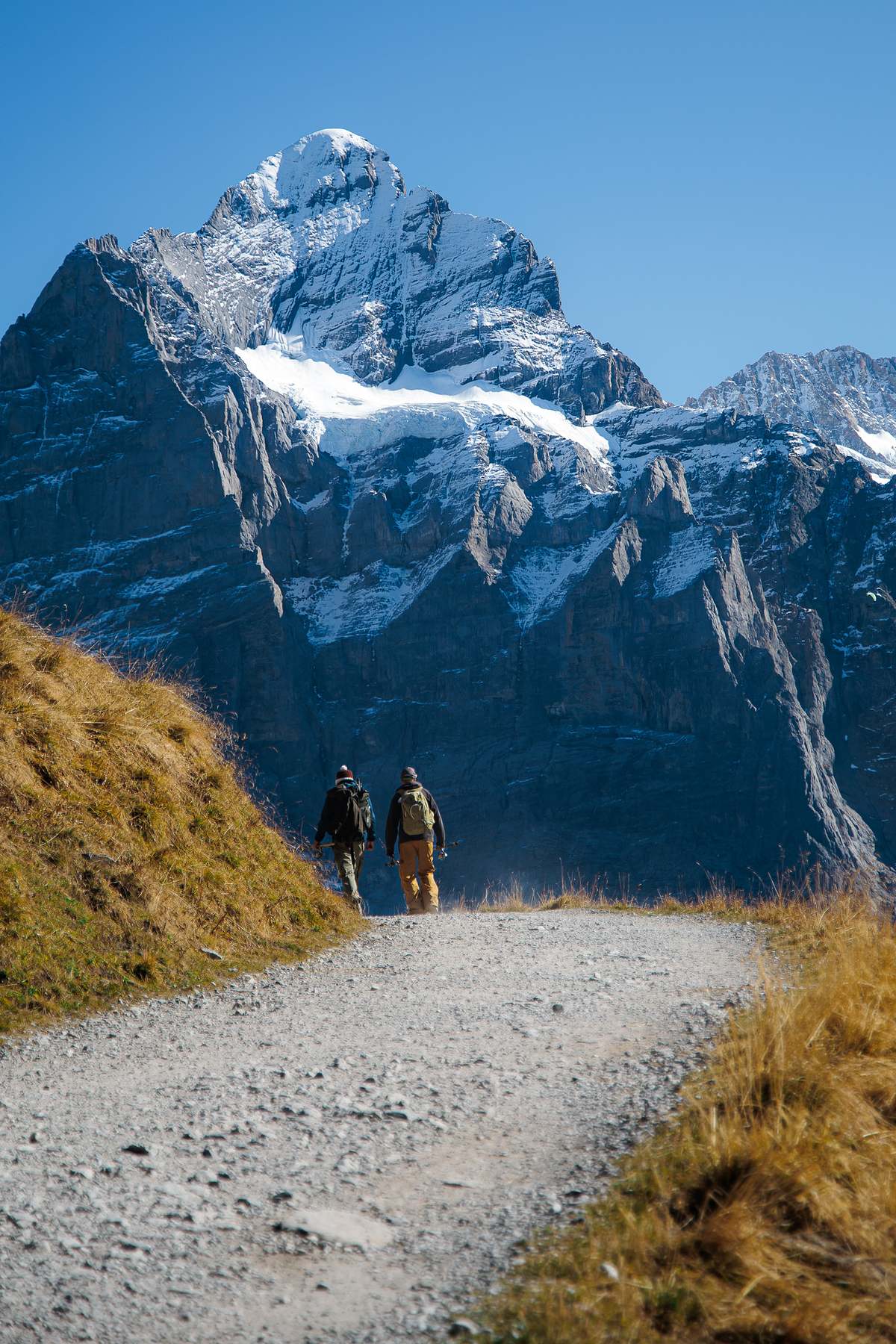 Zwei Wanderer mit Rucks&auml;cken und Trekkingst&ouml;cken gehen auf einem breiten Kiesweg durch goldbraune Alpwiesen auf einen m&auml;chtigen, schneebedeckten Berggipfel zu