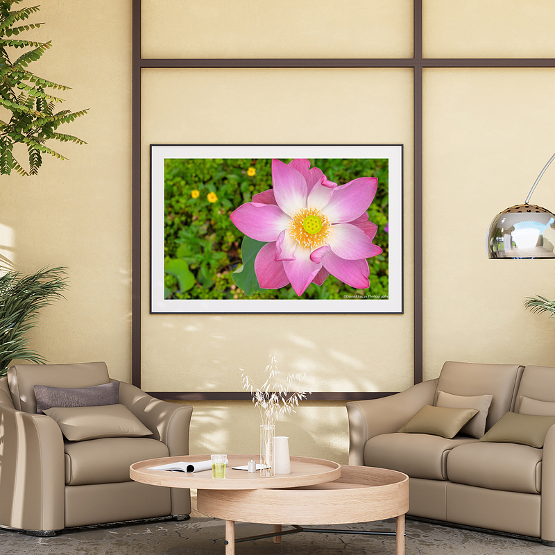 THE ONE - WILDLIFE & NATURE - "Lotus Crown" - LIMITED EDITION 5 of 5