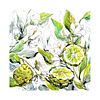 Bergamot Fruit And Flowers | Botanical Art Print