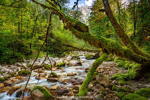 Unberührter Fluss