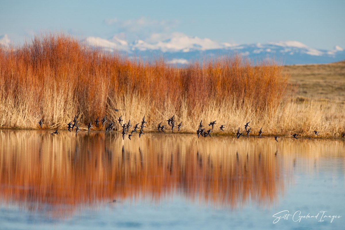 Dawn-at-Carmody-Lake