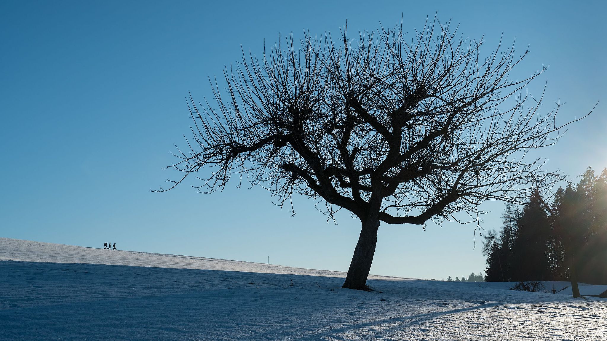 Affoltern im Emmental