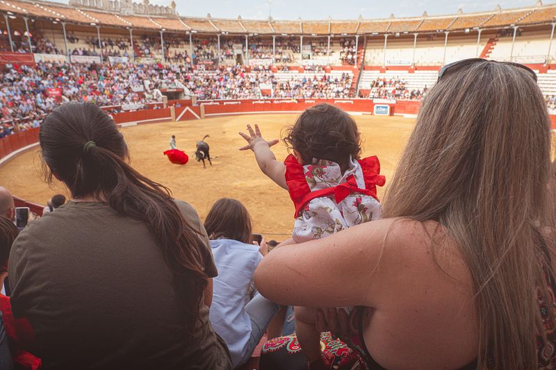 Toros y Toreros