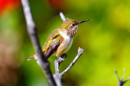 Naturaleza y arte