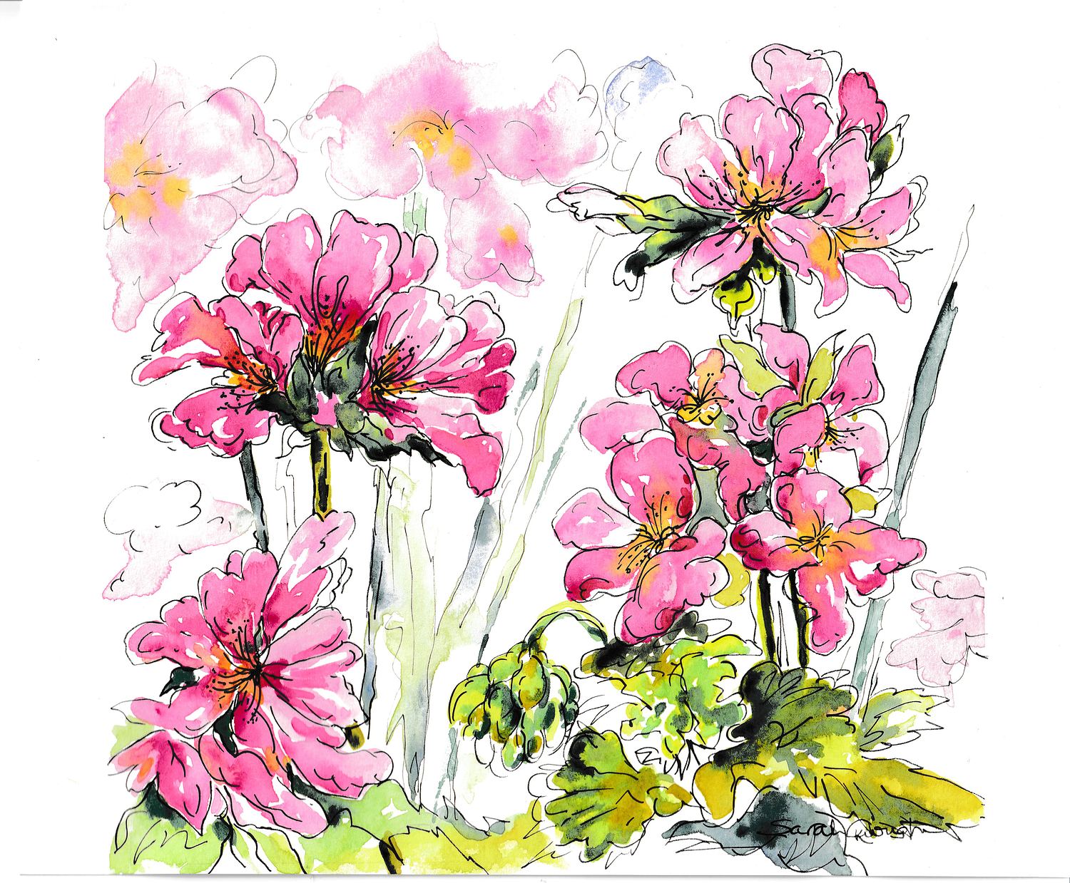 Sarah Gough | Art