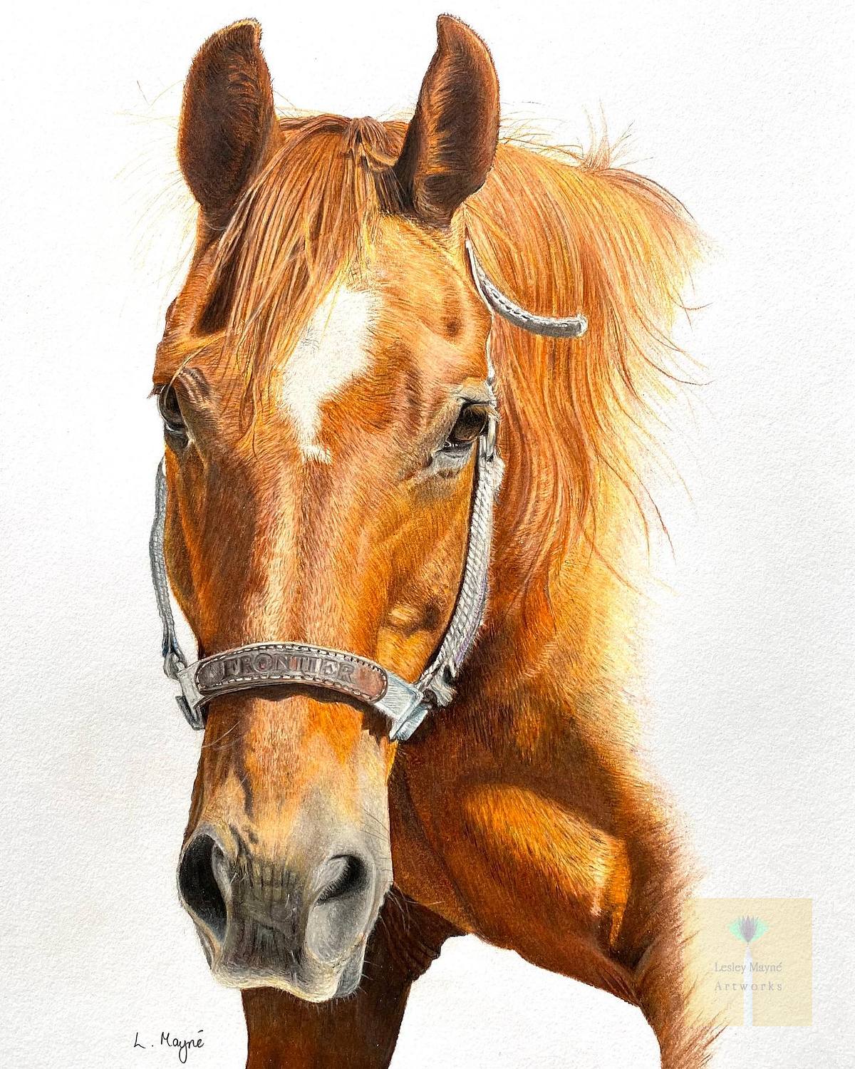 horse portrait, horse pet portrait, chestnut horse portrait