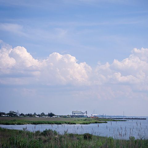 rehoboth bay in delaware, wide angle shot with big cumulus clouds