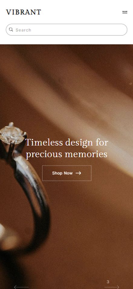 Online store portfolio website template