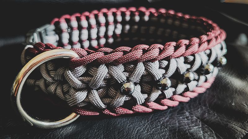Stilvolle Paracord Halsbänder
