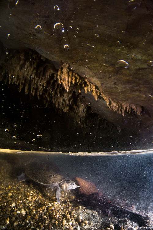 Cave dweller by accident