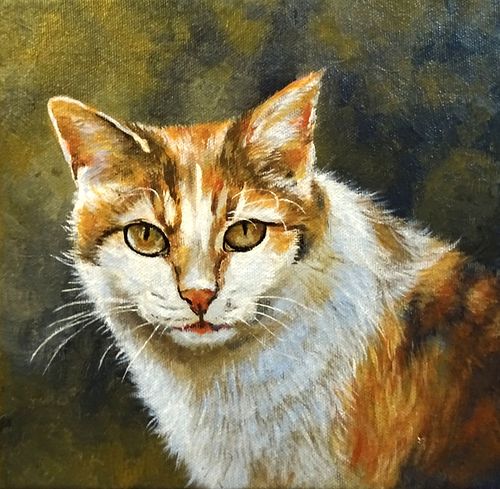 Colorful cat portrait painting capturing character and expression