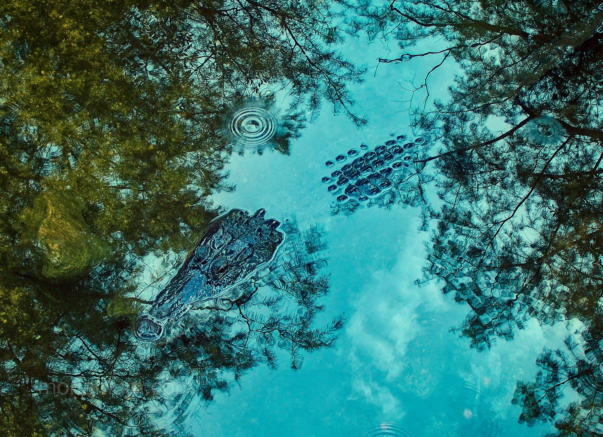 Florida