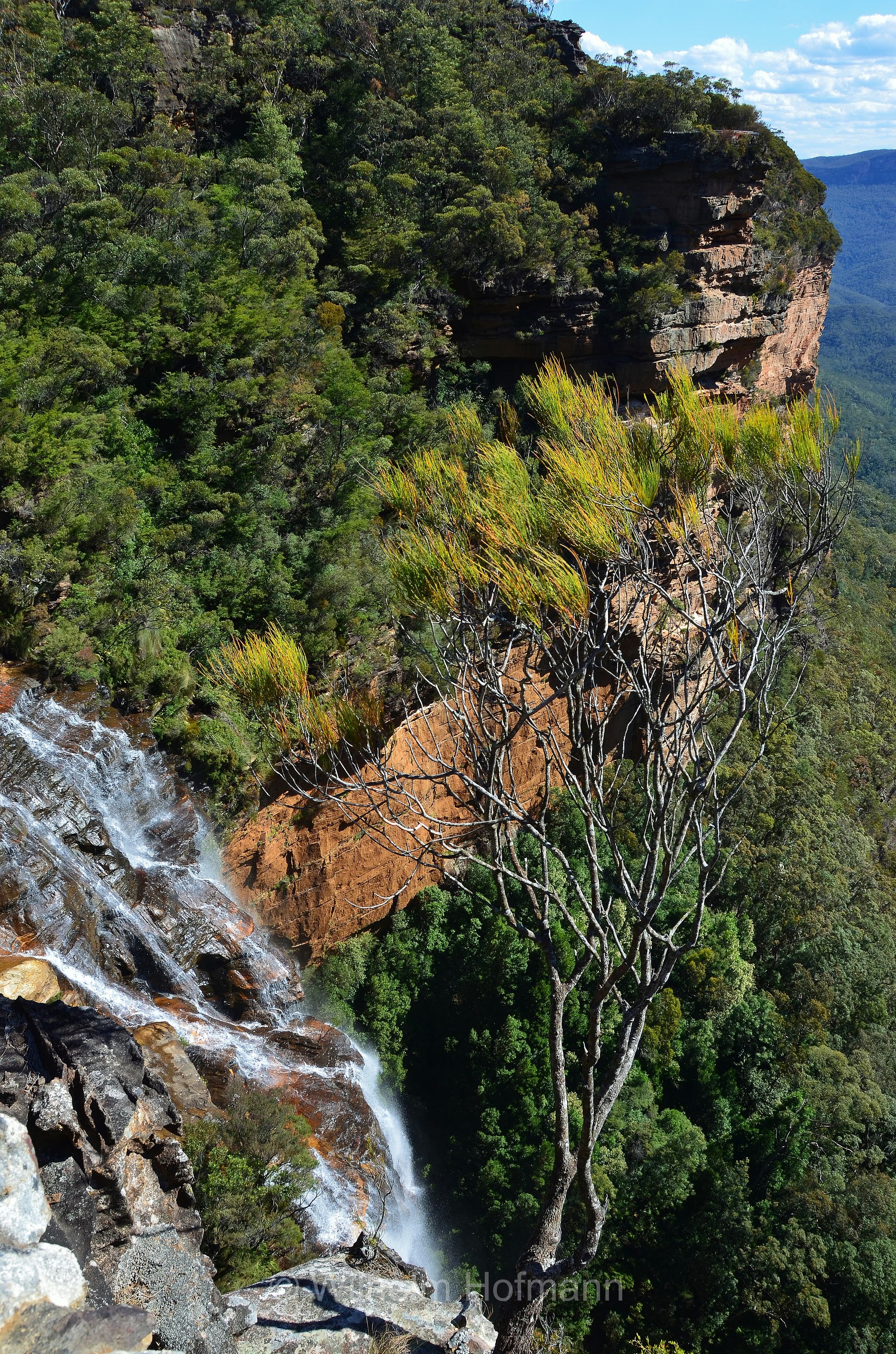 Upper Wentworth Falls, Blue Mountains, Blue Mountains National Park, Blue-Mountains-Nationalpark, New South Wales, Nuovo Galles del Sud, Australia, Australien