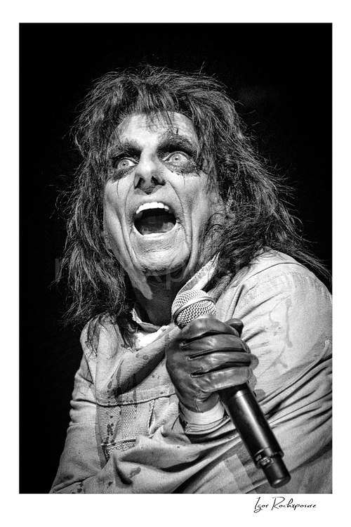 Vertical black and white image of Alice Cooper performing live on stage with dramatic horror makeup, wild hair, and a microphone gripped in gloved hands