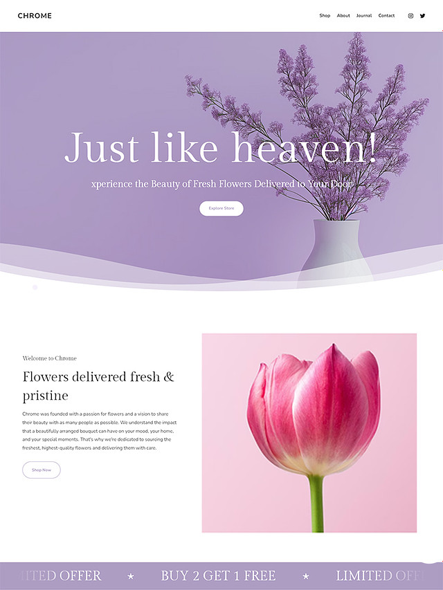 Chrome &ndash; Ecommerce Website Template for Florists & Creatives