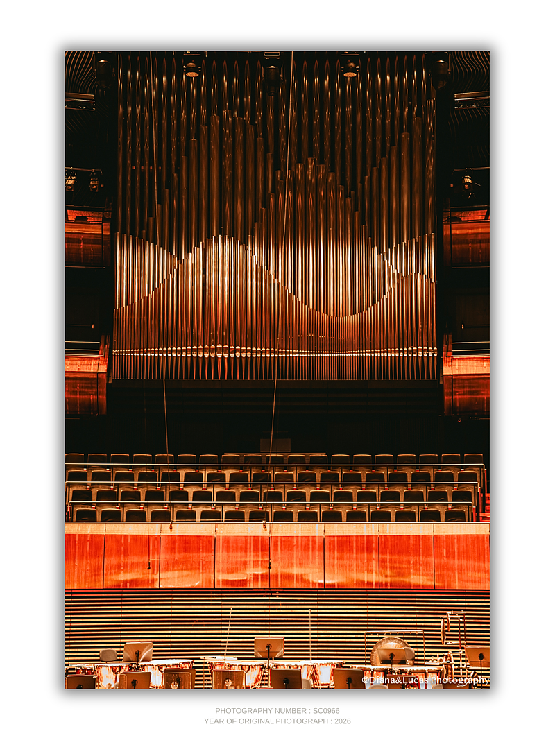 COLLECTION - URBAN GEOMETRY VERTICAL - "Pipes of Gold" - LIMITED EDITION 10 of 10