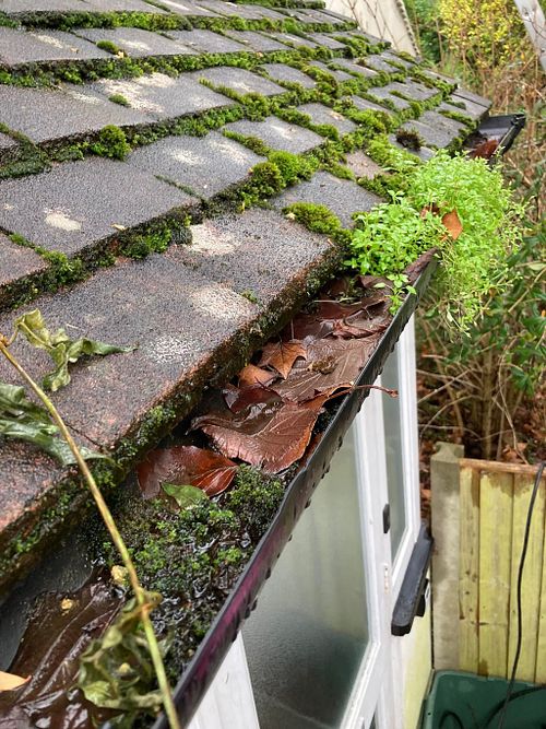 Gutter Clearing