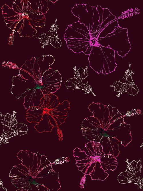 Ilustrations & Patterns