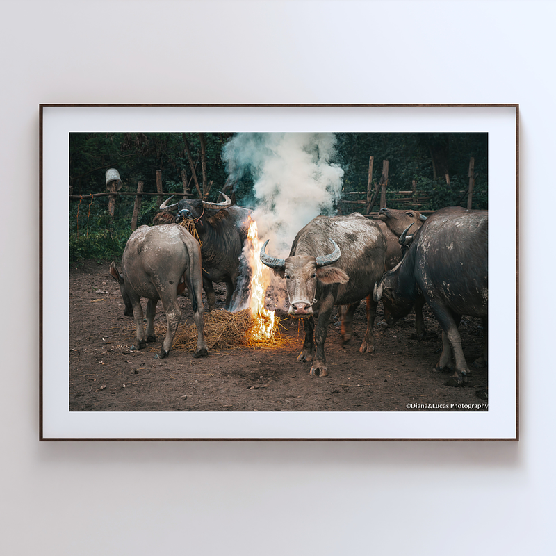 COLLECTION - GIANTS OF THE LAND HORIZONTAL - "Around the Fire" - LIMITED EDITION 10 of 10