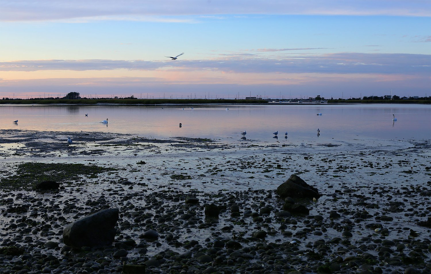 Alison Perry Photography