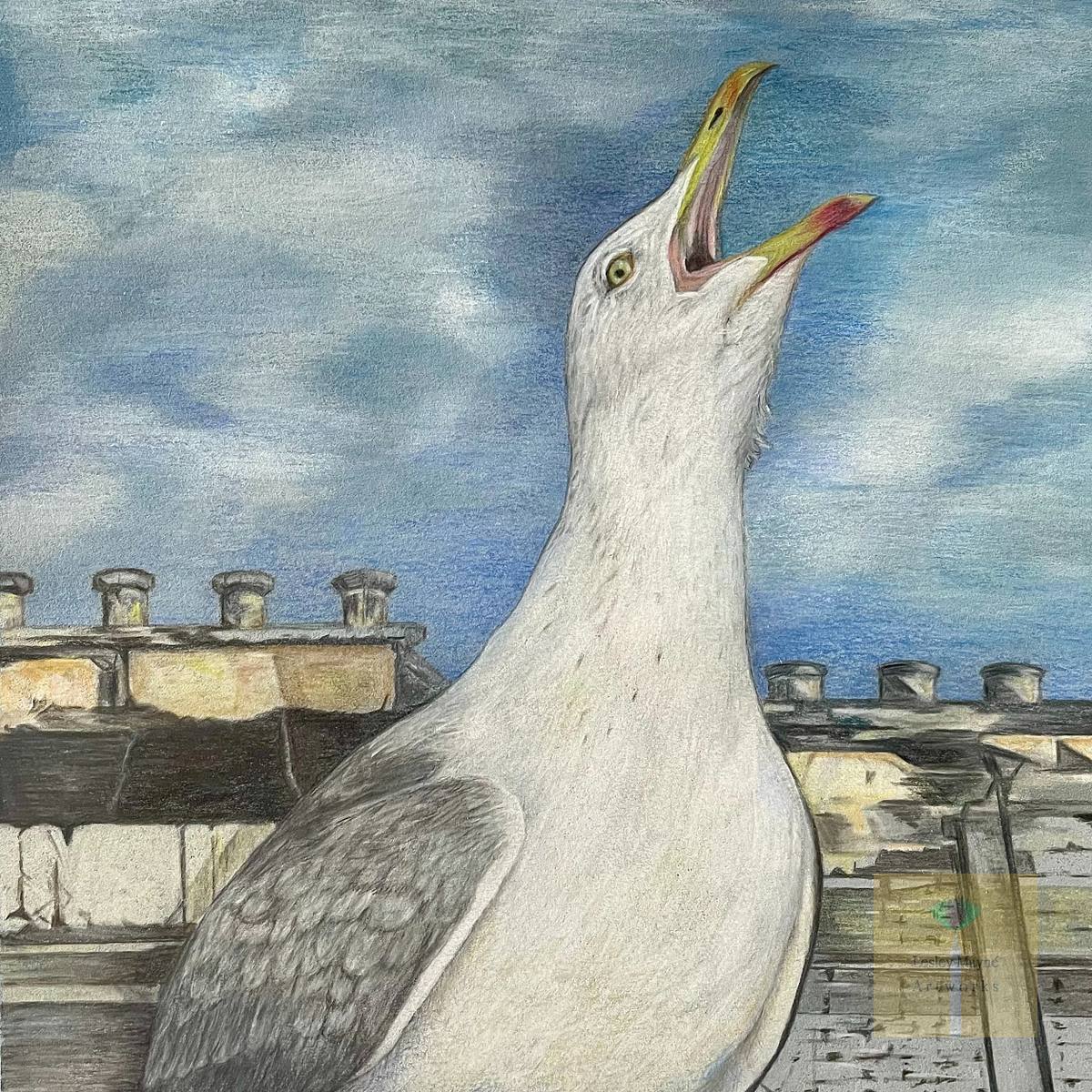 The Long Call, coloured pencil fine art drawing seagull herring gull calling out from roof tops, throwing head back making it's long call against a cloudy blue sky