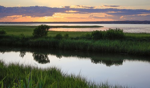 Shinnecock Bay wetland in summer after sundown.