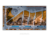 THE ONE - LINES & SHAPES - "The Park Layout" - LIMITED EDITION 5 of 5