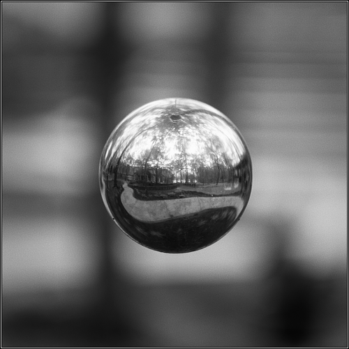 The Focus is on Photography