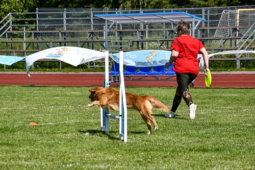 koerte frisbi voistlus 2026