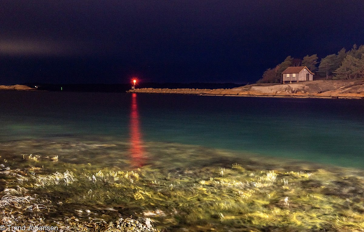 Kveldslys og kystlandskap p&aring; Hvaler fotografert av Trond Johansen, fotograf fra Sarpsborg
