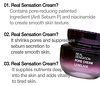 LEBELAGE Real Sensation Pore Cream 50gm