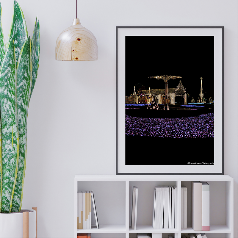 COLLECTION - URBAN GEOMETRY VERTICAL - "Garden of Lights" - LIMITED EDITION 10 of 10