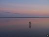 Midweek Oostelijke Waddenzee 5 dagen (4 - 8 mei 2026)