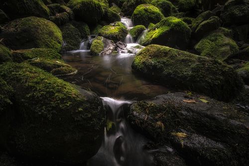Waterfall, stream, river, creek, flowing water, long exposure, nature, landscape, travel, hiking, adventure, escape, light, rocks, moss, ferns, forest, Nicols, Dunedin, New Zealand, South Island, Otago