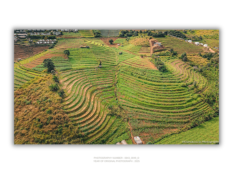 COLLECTION - FROM ABOVE HORIZONTAL - "Drawn by the Land" - LIMITED EDITION 10 of 10