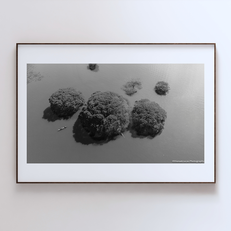COLLECTION - GIANTS OF THE LAND HORIZONTAL - "Find the Boats" - LIMITED EDITION 10 of 10