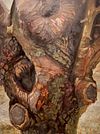 right outside: Artist Prints