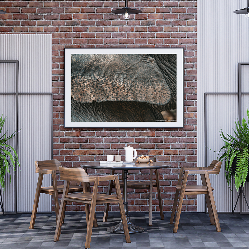 COLLECTION - GIANTS OF THE LAND HORIZONTAL - "Dotted" - LIMITED EDITION 10 of 10