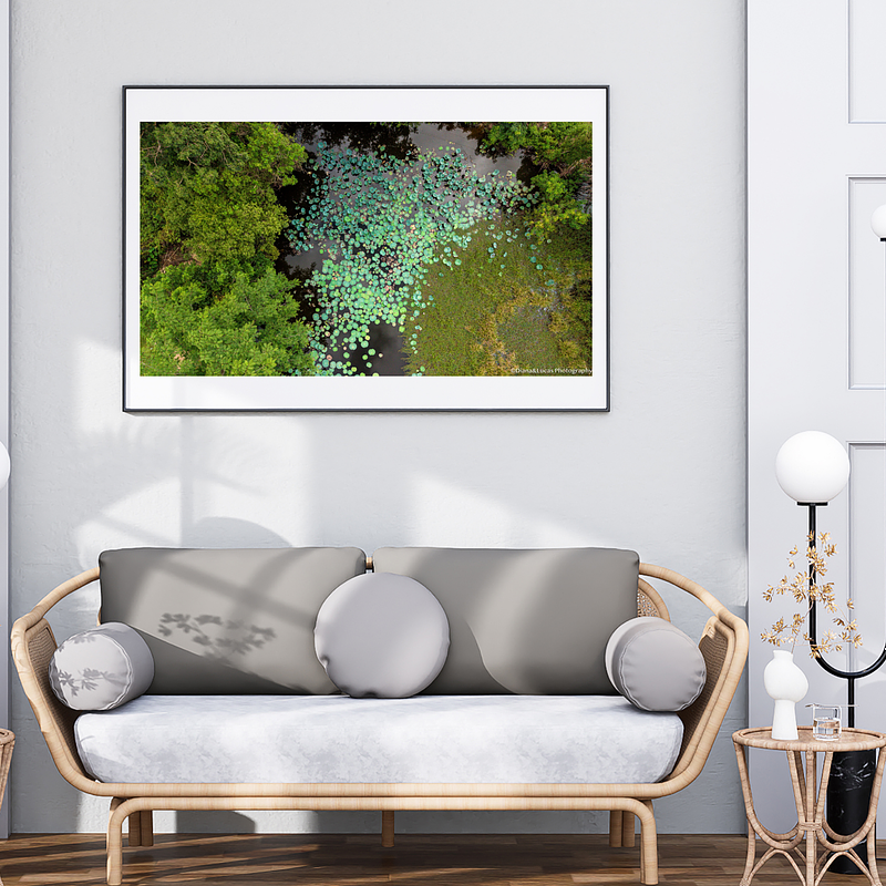 THE ONE - AERIAL PRINTS - "Water Flowers" - LIMITED EDITION 5 of 5