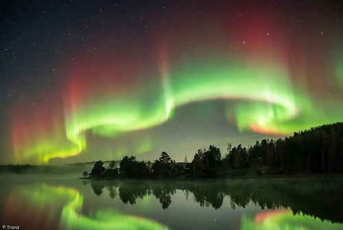 Start here &ndash; an introduction to my 4K nature films, wildlife videos and osprey videos from Sarpsborg and Norway.