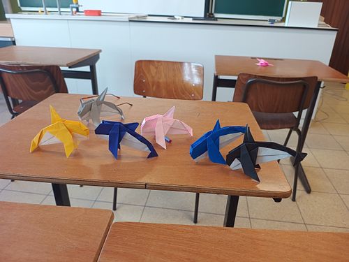 Workshops op alle niveaus